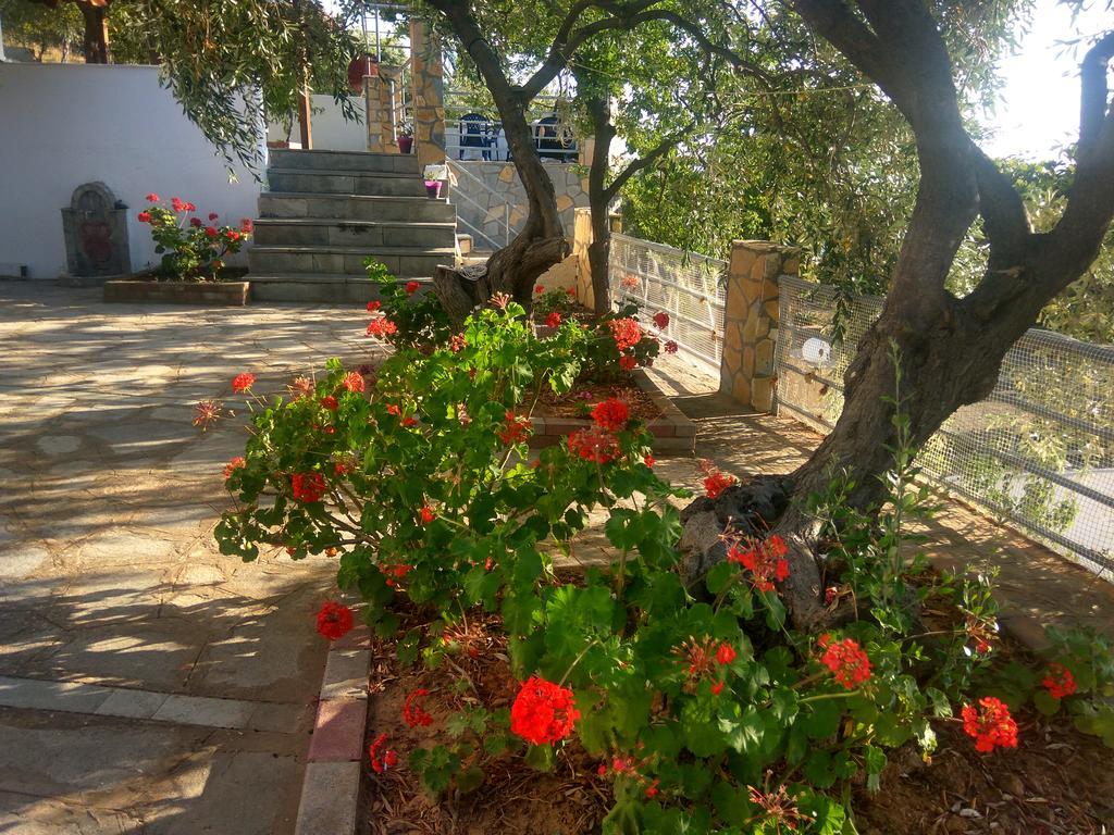 Apartment Karantola Kallirachi
